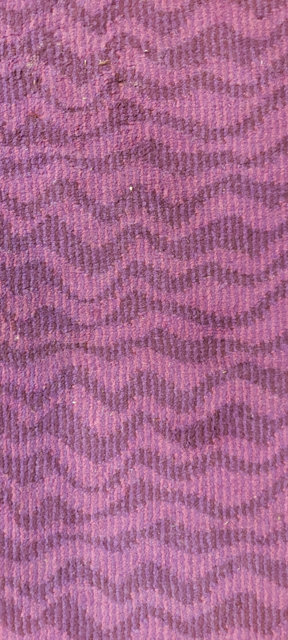 Sample of the original 1975 purple carpet from the Ipswich Civic Centre, 2025