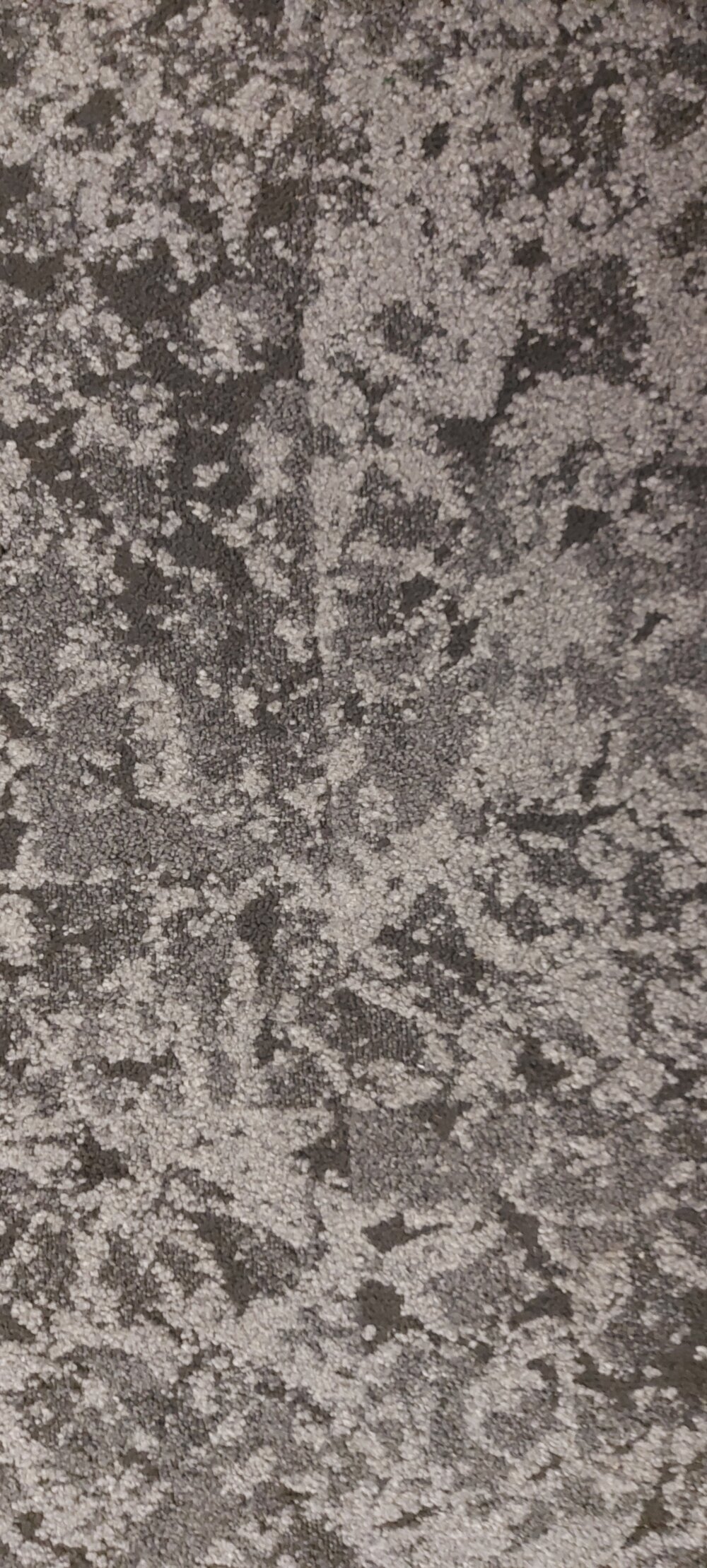 Sample of carpet from the Ipswich Civic Centre, 2025