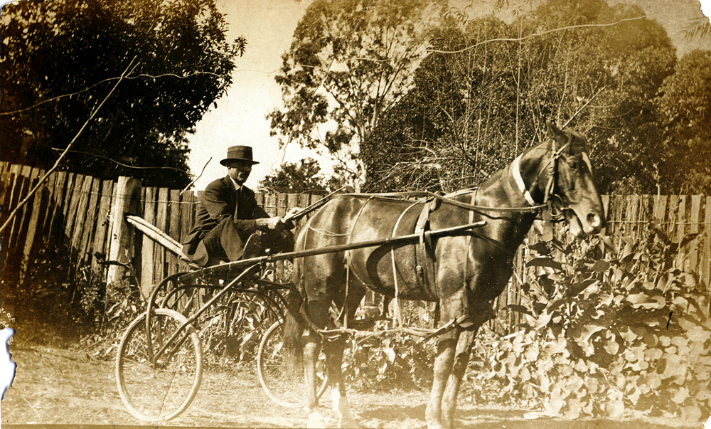 Thomas Kerwin with his horse and sulky, Purga, Ipswich, c.1917