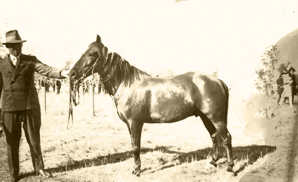 Arthur Sellars with his horse 'Ebony', Rosewood, 1920s
