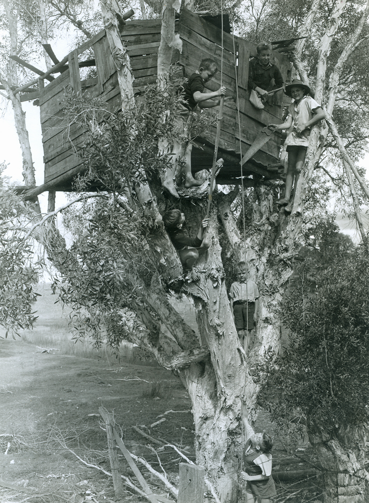 Building tree house, Brassall, Ipswich, c.1974