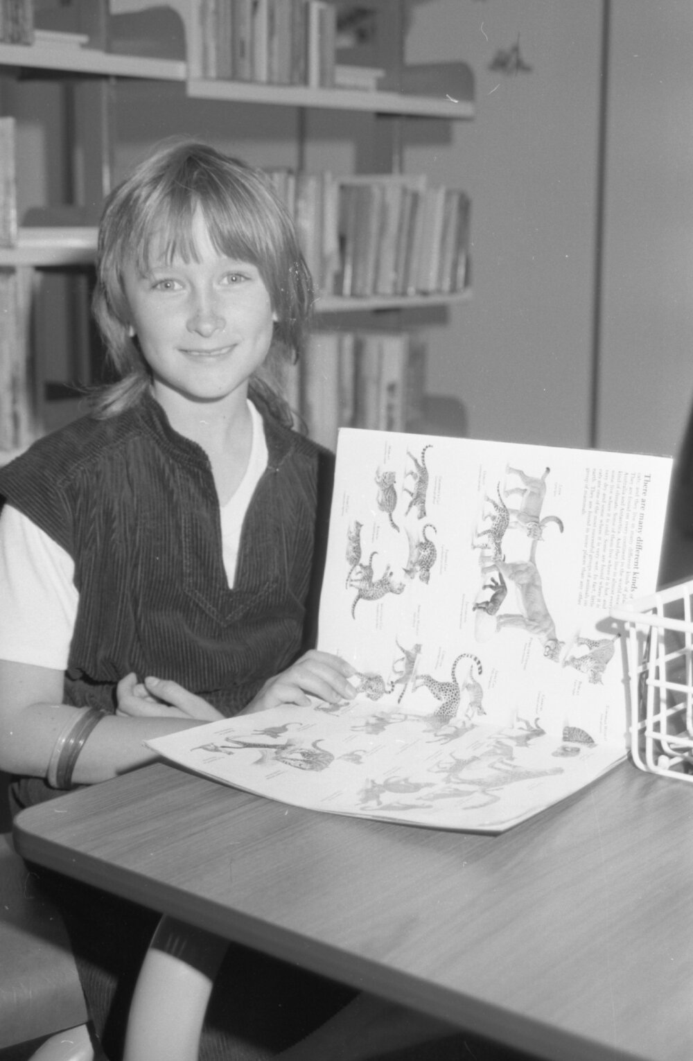 Unidentified girl reading a book on dinosaurs at the Redbank Plaza Library, Redbank, September 1985