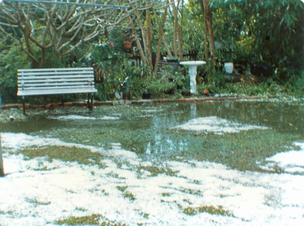 Hail lying in the backyard of a home in Booval, Ipswich, 1987