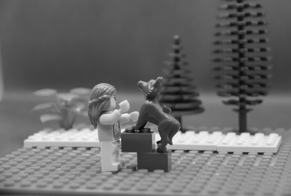 Brickswich version of Family with greyhound dog, Ipswich, Queensland, January 1978