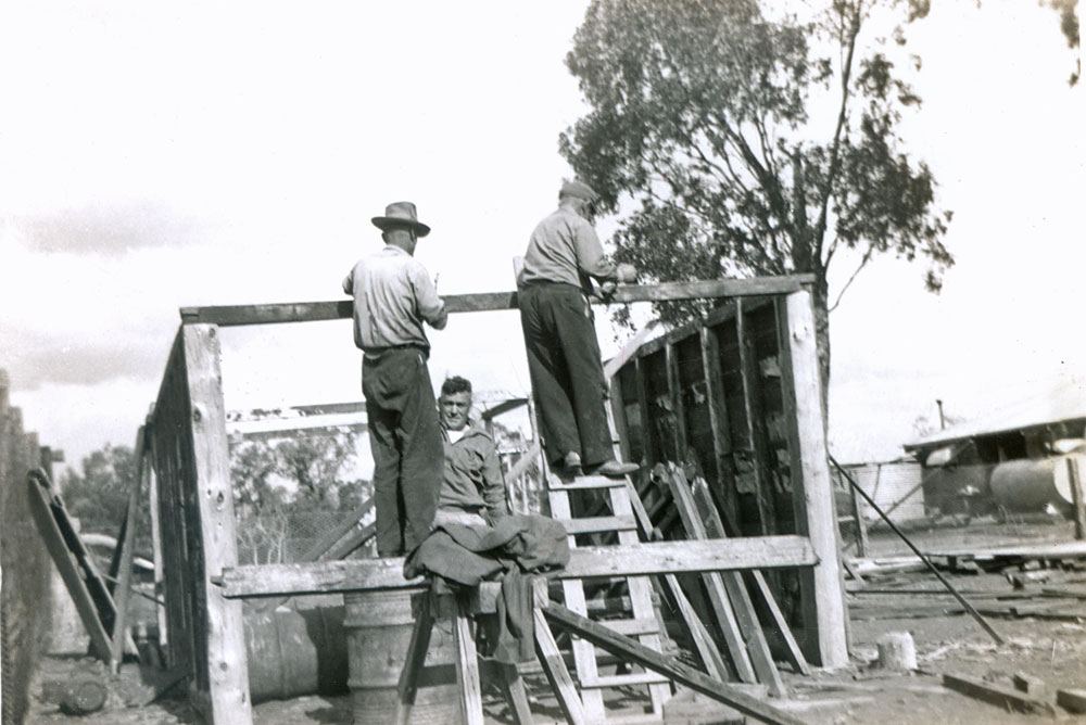 Dan Dempsey's  family at their farm, Ripley, Ipswich, 1950s