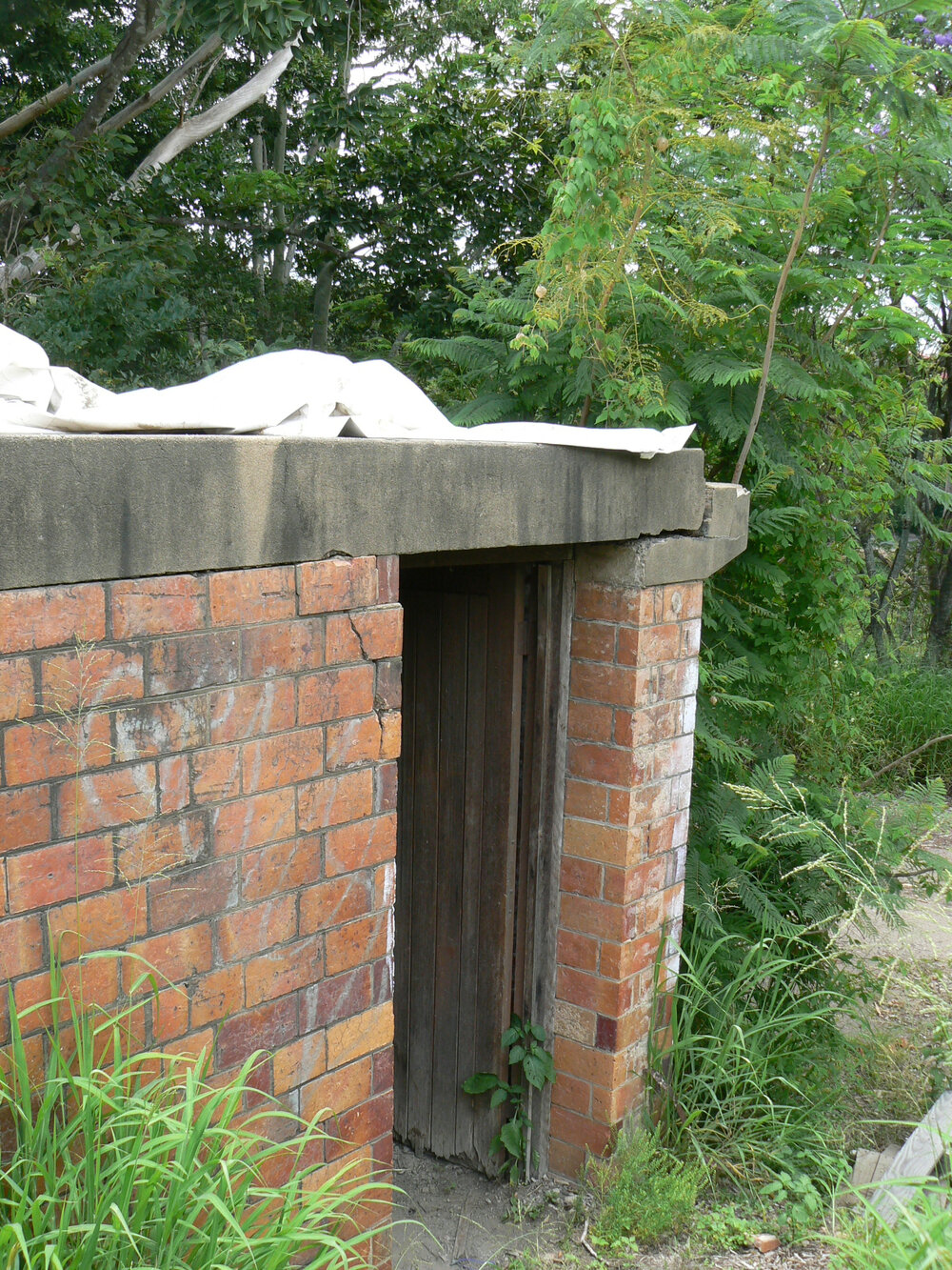 World War II air-raid shelter, 42 The Terrace, North Ipswich, 2009