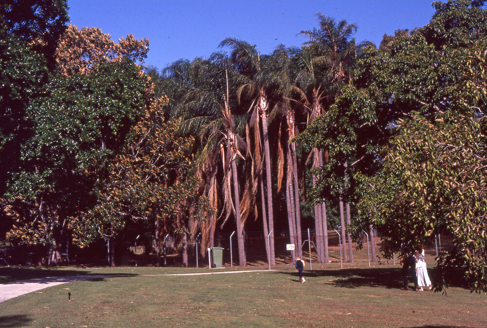 Queens Park towards Nature Reserve, c.1992