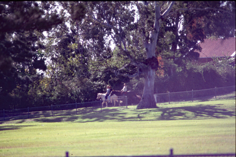 Horse riding in Queen's Park, c.1992