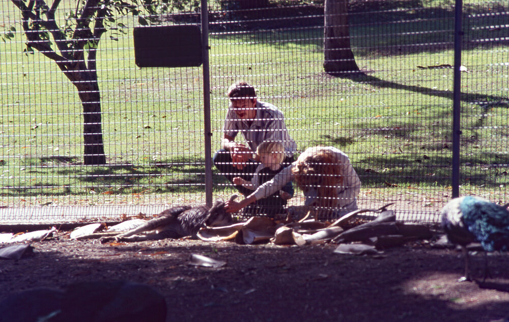 Family at Nature Reserve in Queens Park, c.1992