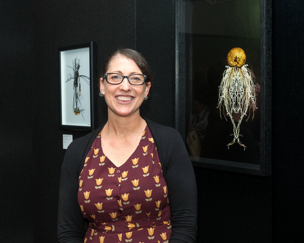 Donna Davis, awarded first place in the photography category, Ipswich Art Awards, 2016