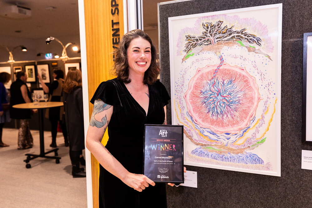 Opening night of the Ipswich Art Awards, 2022