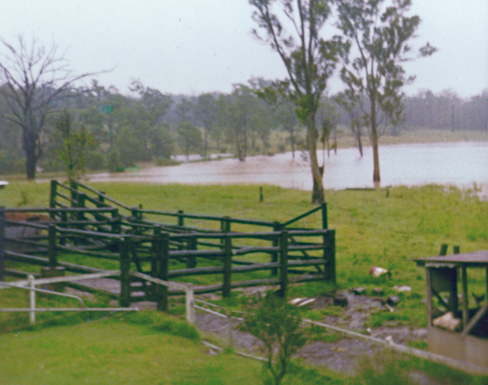 Flooding on the Bremer River at the end of Holdsworth Road, Ipswich, 1974