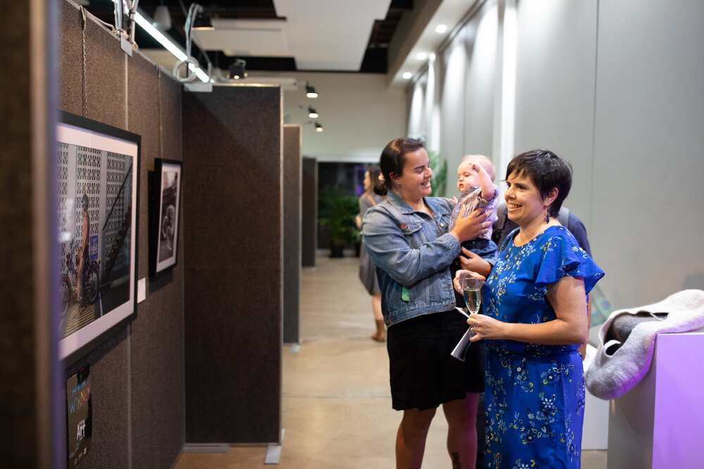 Opening of the Ipswich Art Awards, 2019