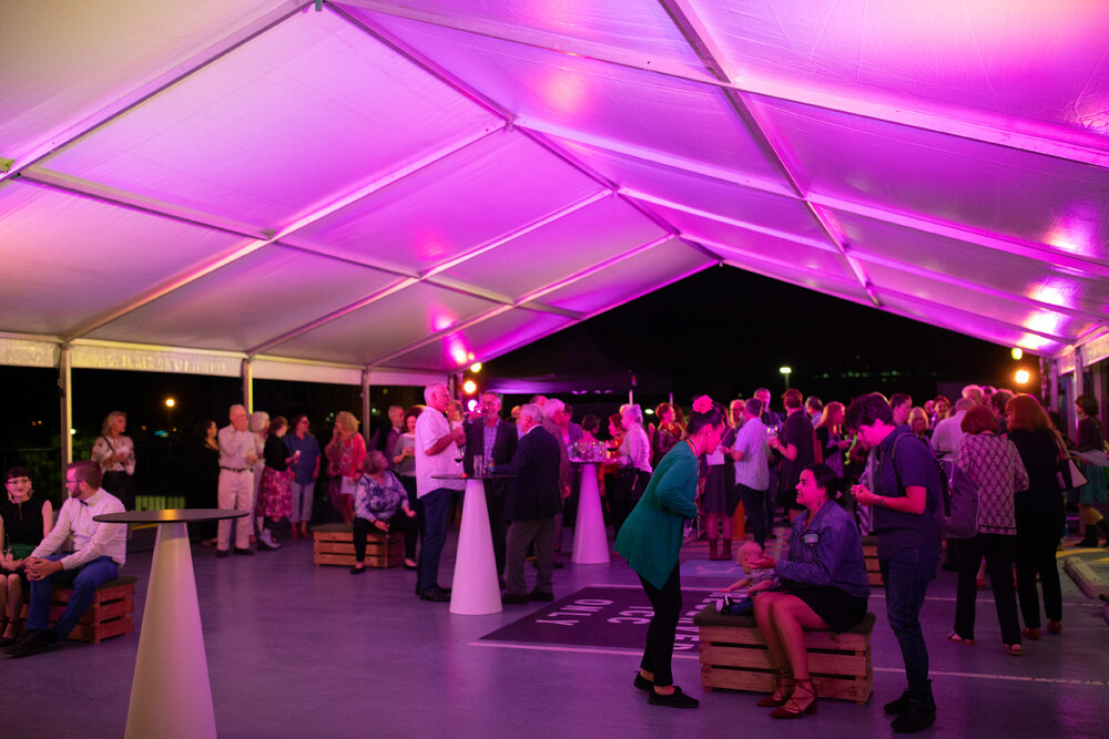 Opening of the Ipswich Art Awards, 2019
