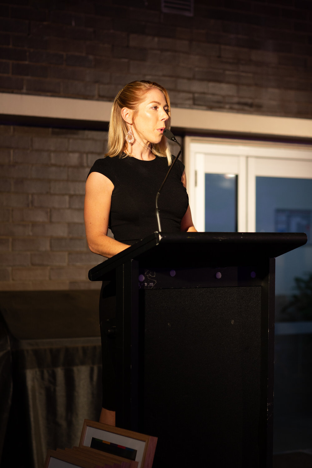 Opening of the Ipswich Art Awards, 2019