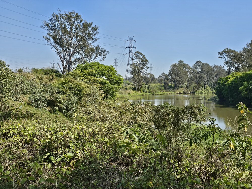 Bremer Mills Bundamba Site Visit 18 September 2025