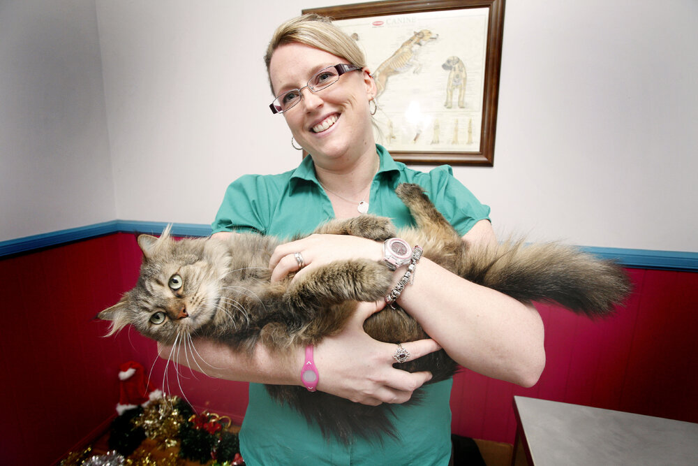 Heidi Pollard, practise manager, Animal Welfare League (AWL) Veterinary Clinic, Ipswich, December 2010