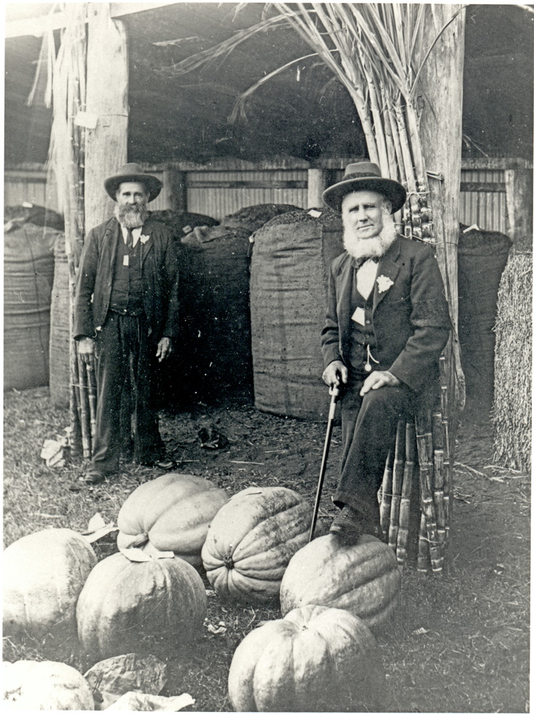 Sam Waight and William Bassett, Rosewood Show, Rosewood, Ipswich, 1880