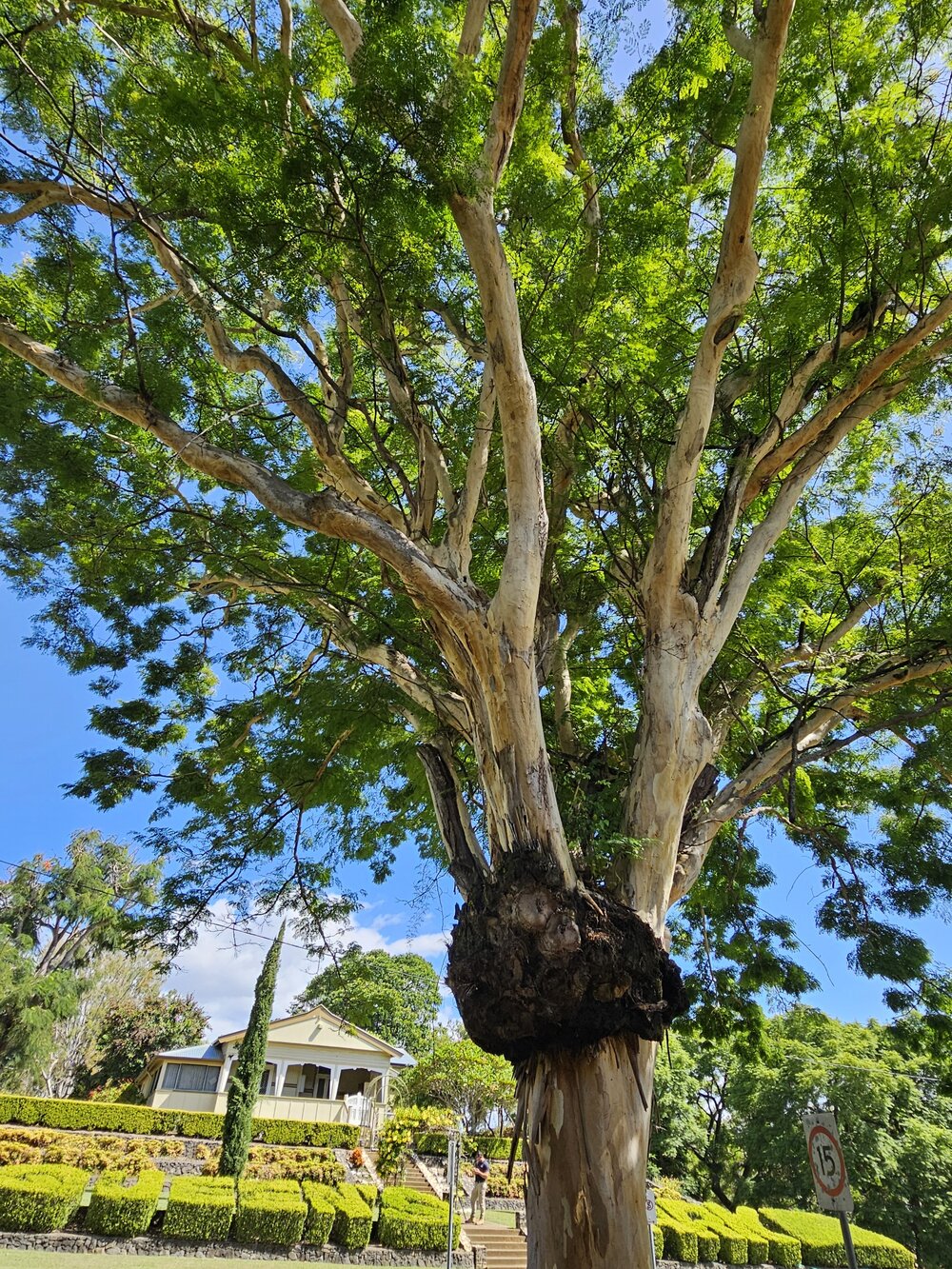 Queens Park Curator's Cottage Ipswich 2025