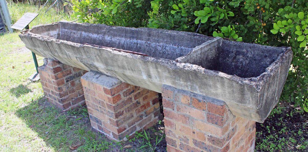 Horse Trough Tivoli Hill 2017