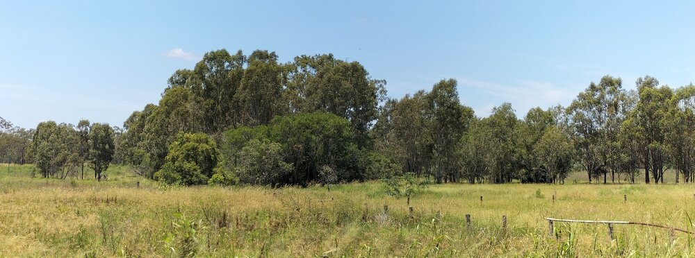 Babies of Walloon Drowning Site, 470-488 Haigslea-Amberley Road, Walloon, 2024