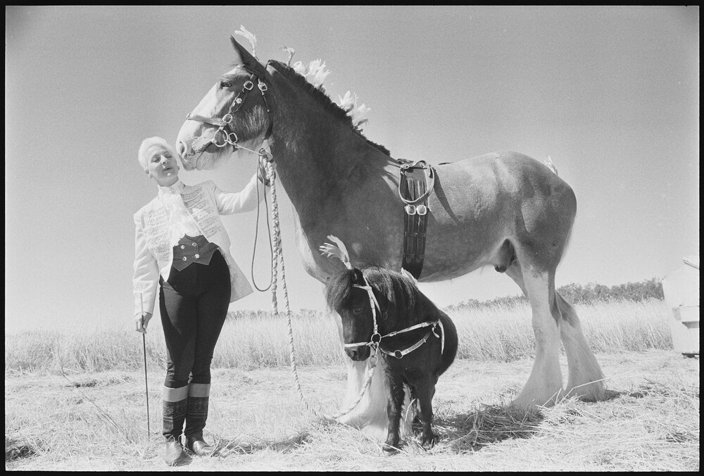 Unidentified woman in ringmaster costume with a Clydesdale horse and a miniature pony in a field, Ipswich, Queensland, 2nd August 1994