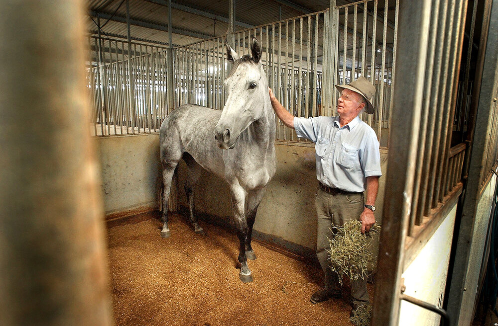 Trainer, Jim Savage and bargain horse, The Clock, after her great performance, Ipswich, January 2005 