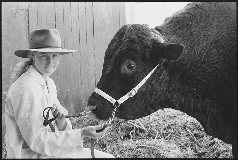 Unidentified young woman with cow at the Ekka, Brisbane Showgrounds, Brisbane, 20th August 1994