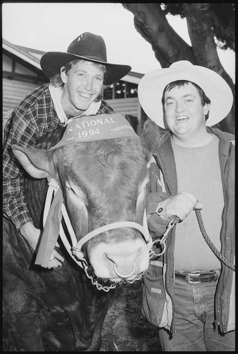 Two unidentified men with a winning show cow at the Ekka, Brisbane Showgrounds, Brisbane, 20th August 1994