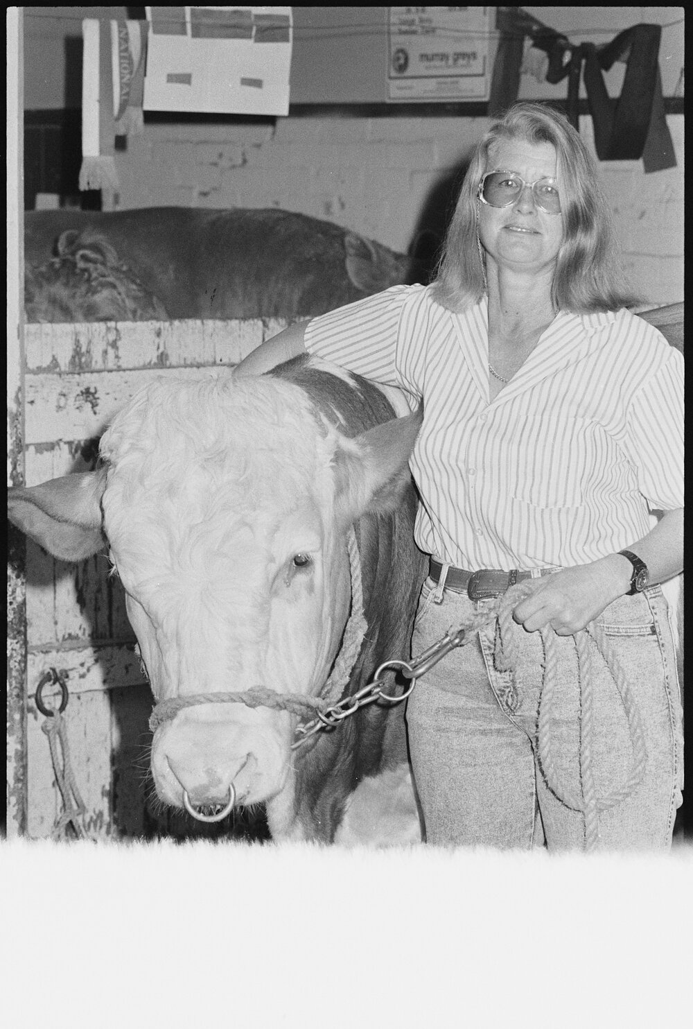 Unidentified woman with cow at the Ekka, Brisbane Showgrounds, Brisbane, 20th August 1994