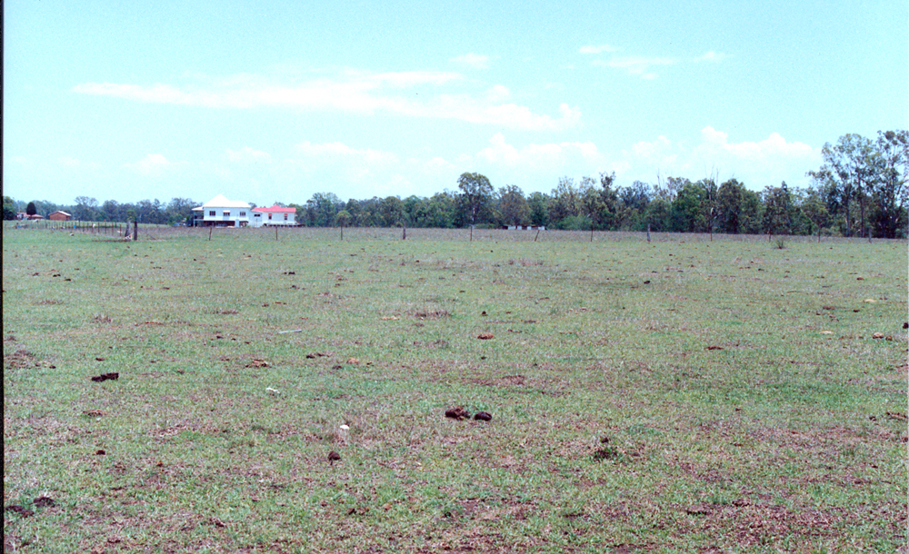 Site of the former Bremer Mills, facing the Bremer River, Bundamba, Ipswich, 1991