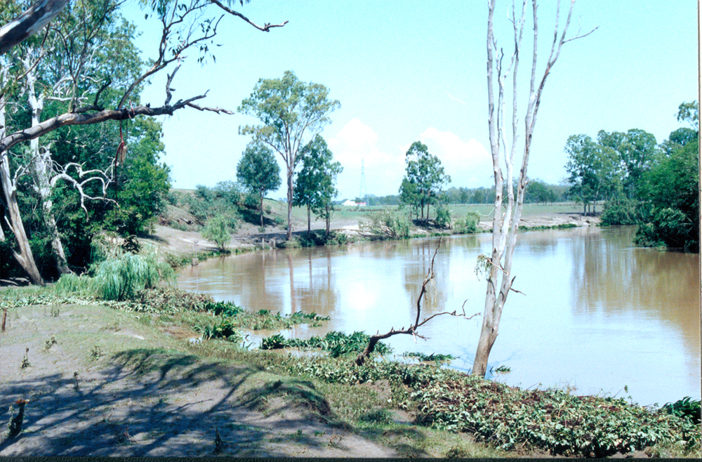 Site of the former Bremer Mills, facing the Bremer River, Bundamba, Ipswich, 1991