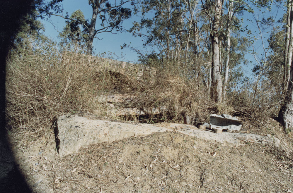 Air shaft and fan house remains of Aberdare Extended No. 1 Colliery, 14 Owen Street, Raceview, Ipswich, 1991