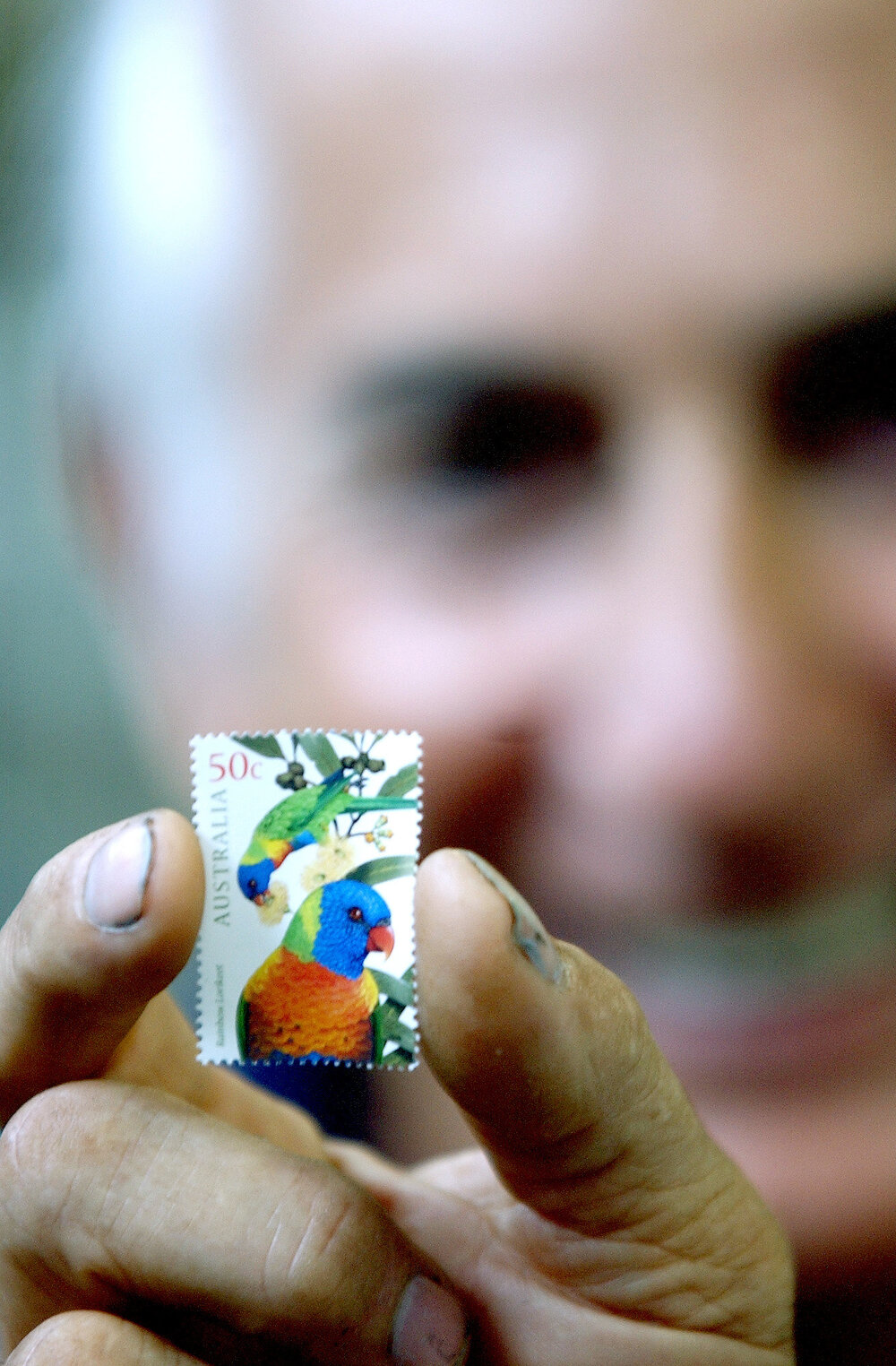 Stamp collector George Bould with one of the new Australia Post parrot stamps, Ipswich, 17th February 2005