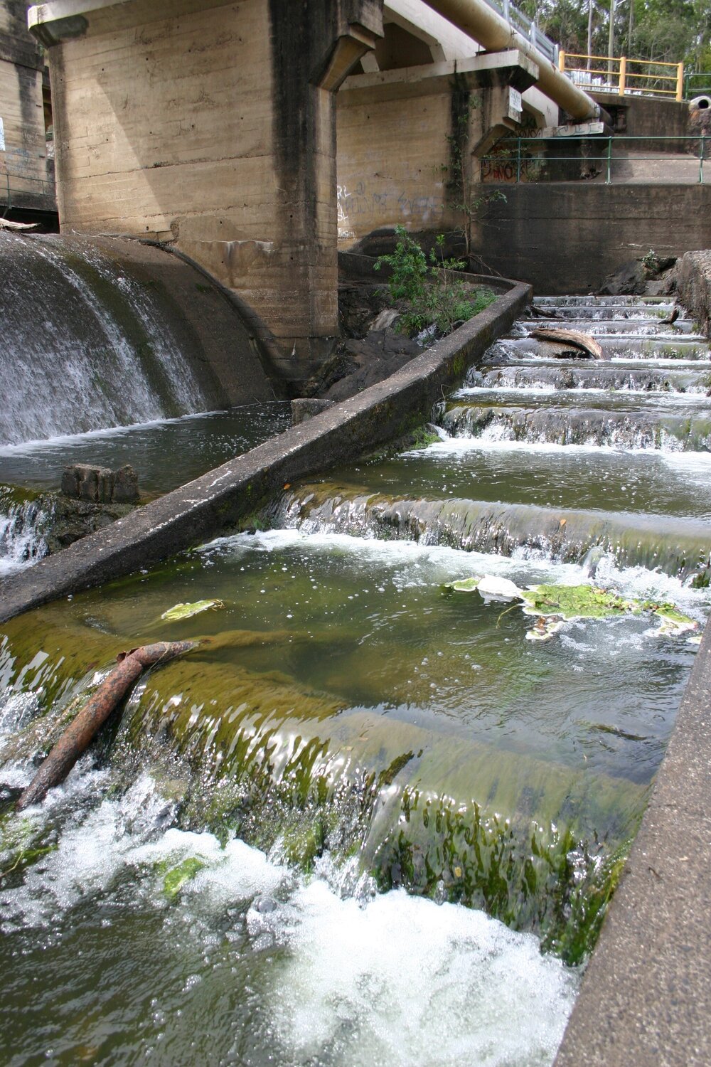 Weir Spillway and Fish Ladder, Mt Crosby Road, Mount Crosby, Brisbane, 2004
