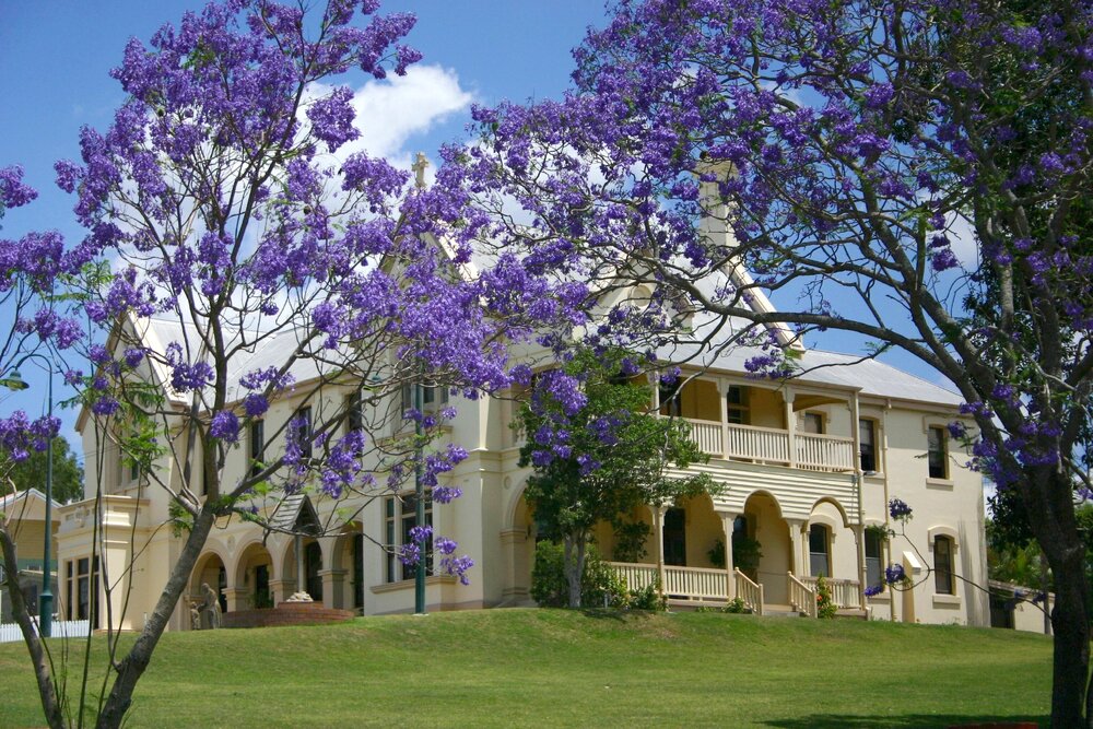 Jacaranda Trees in bloom, in front of St Mary's Presbytery, Woodend, Ipswich, 2004