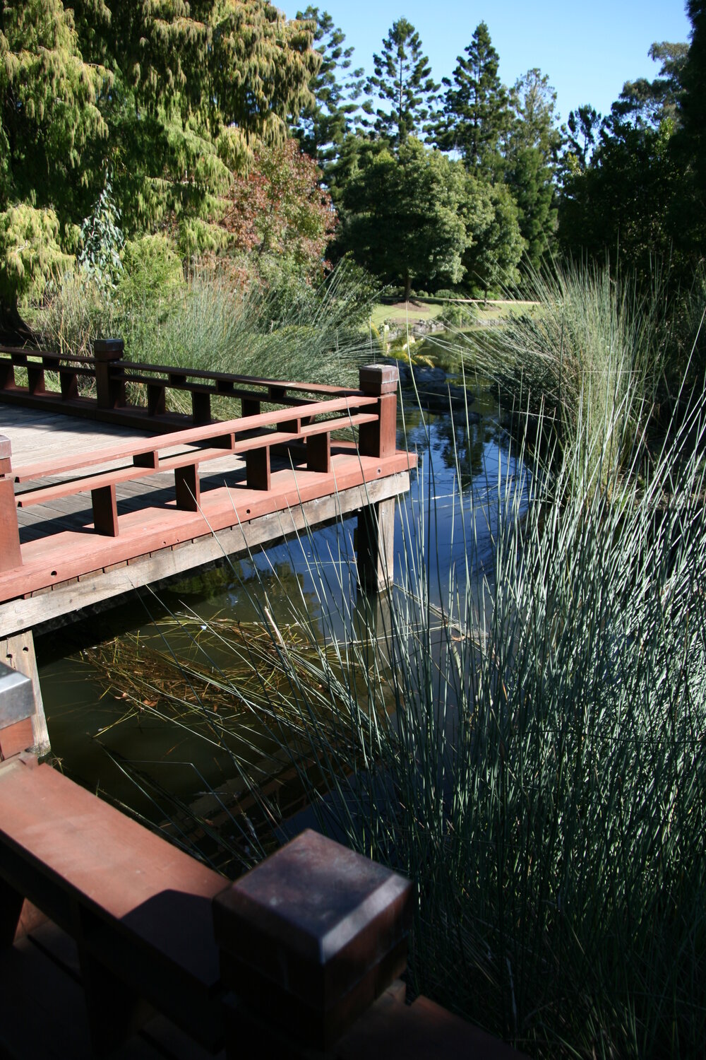 Nerima Gardens, Queens Park, Ipswich, July 2009