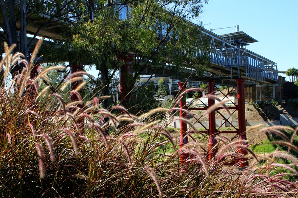 Bradfield Bridge, from Riverheart Parklands, Ipswich, October 2012