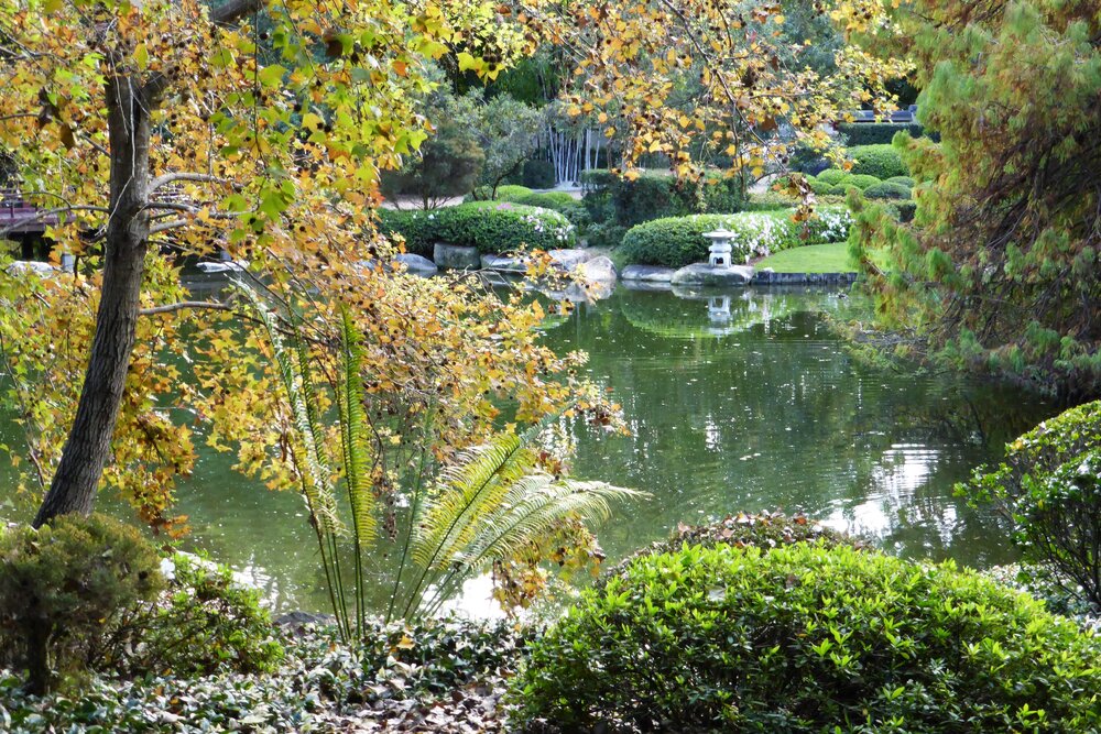 Nerima Gardens, Queens Park, Ipswich, August 2013