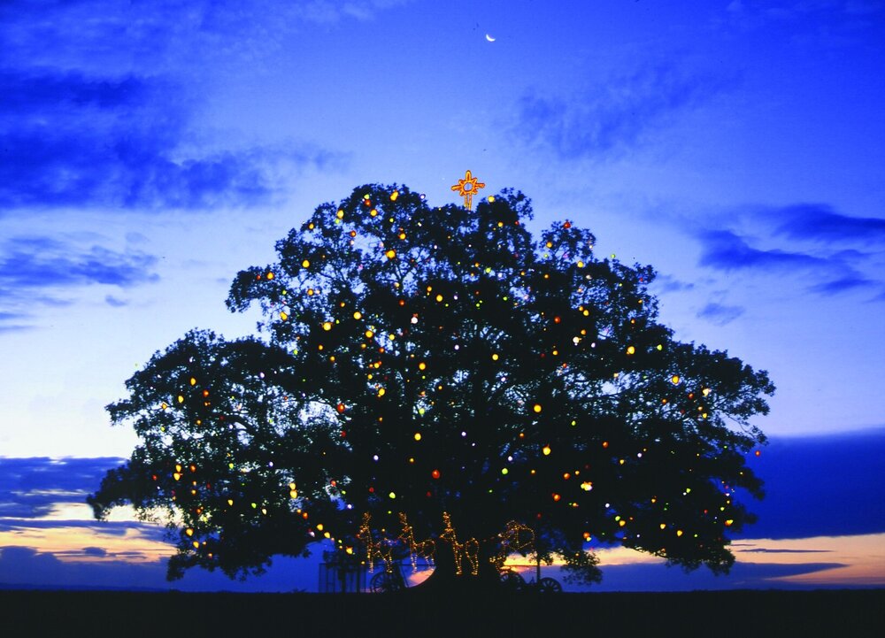 Christmas Tree, Raceview, Ipswich, c.2006