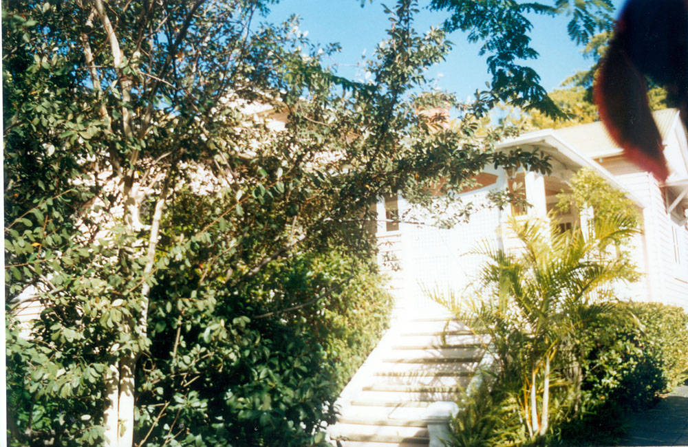 Fig tree in front of 7 Glebe Road, Newtown, Ipswich, 1991