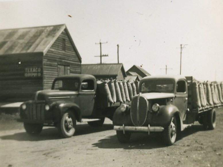 Two of Risson's Fords at the railway goods yard