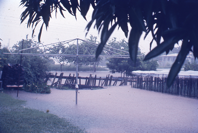 Floodwaters entering a backyard at Pelican Street, North Ipswich, 3pm, 26th January 1974