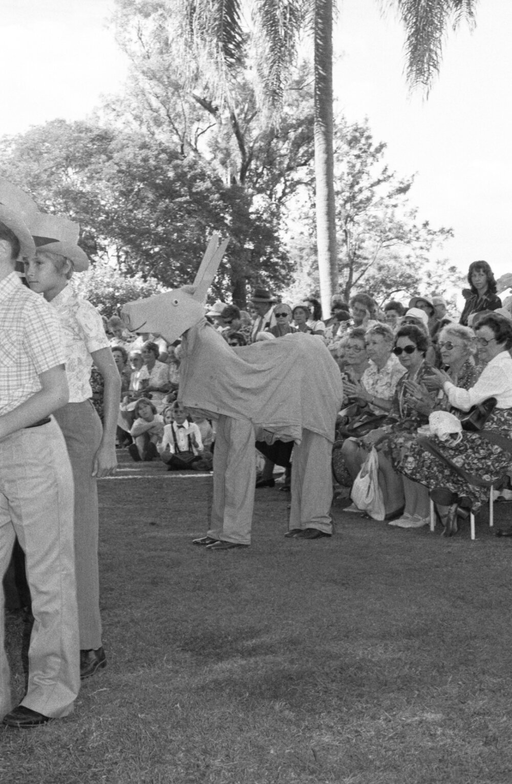 Horse mascot at the the memorial in honour of Mary Aileen Bell, Coochin Coochin, Scenic Rim, April 1980