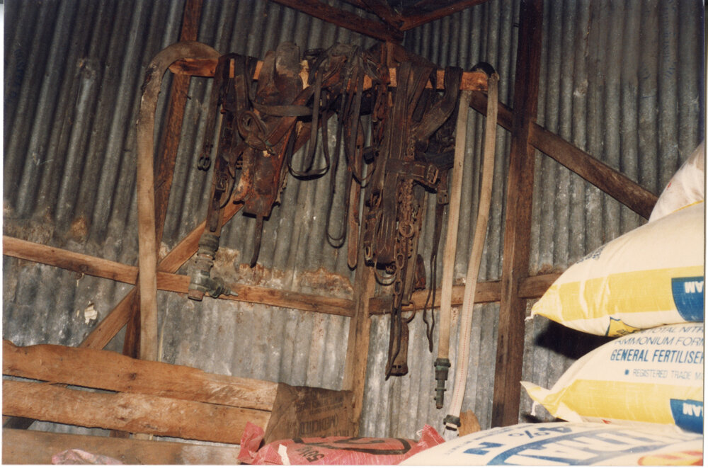 Weighing machines and dippers at Risson's Produce
