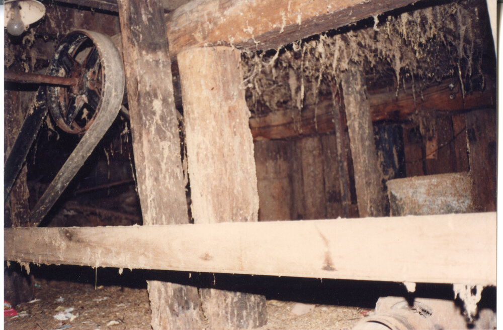 Hand hewn logs and old machine belt pulleys in the cellar of Risson's Produce