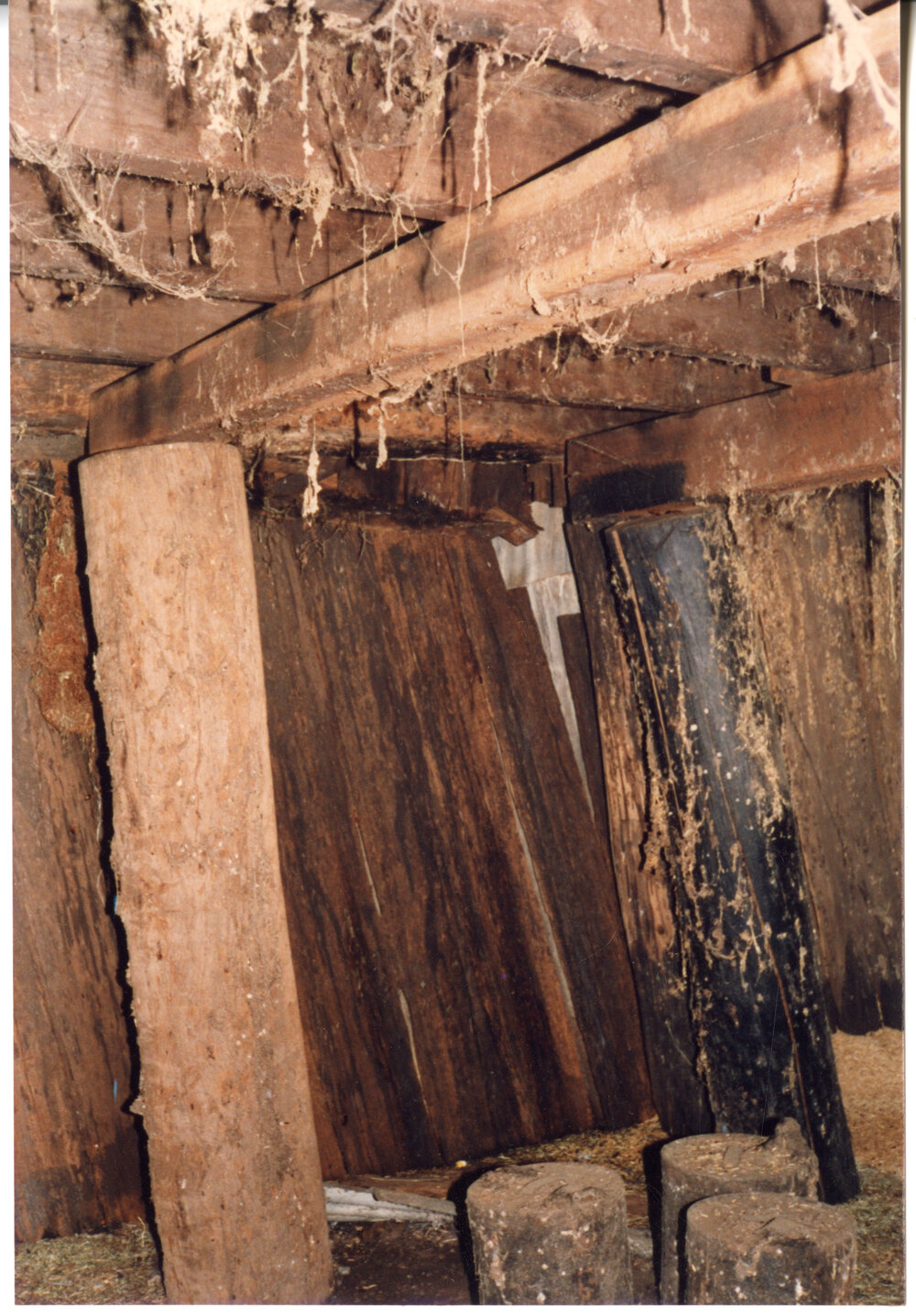The cellar of Risson's Produce