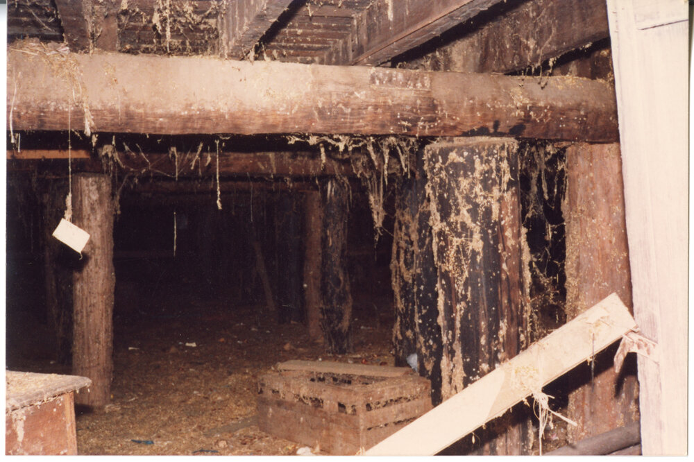The cellar of Risson's Produce