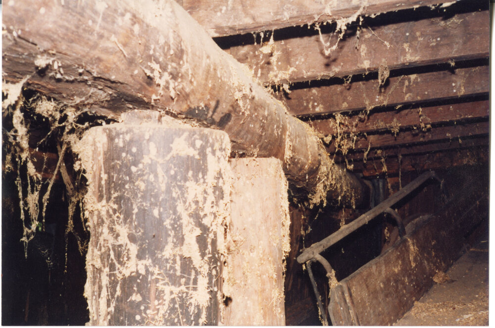 The cellar of Risson's Produce