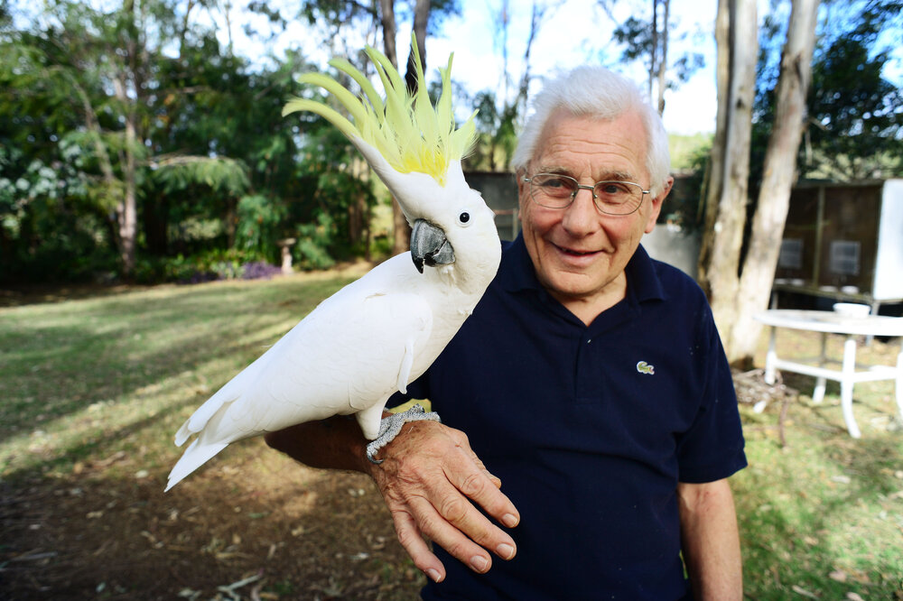 Terry White of Redbank Plains with his 9-year-old pet cockatoo Casper, Ipswich, 24 May 2013
